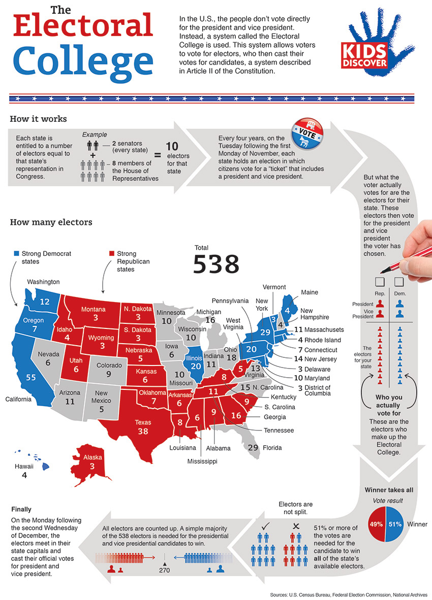 Explain The Electoral Process 9548